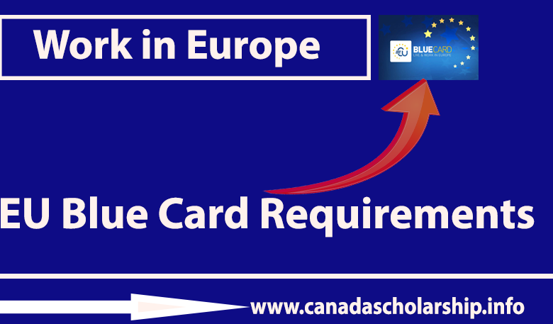 EU Blue Card Requirements to Work in Europe