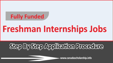 freshman-internships-jobs